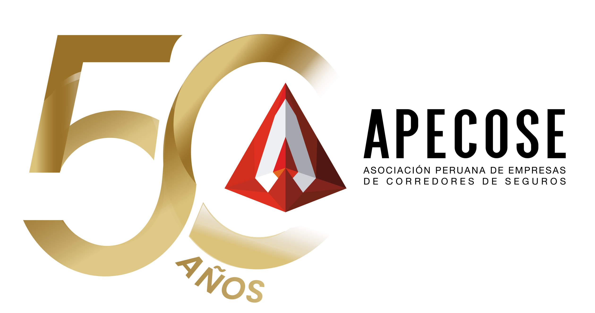 LOGO 50 AÑOS