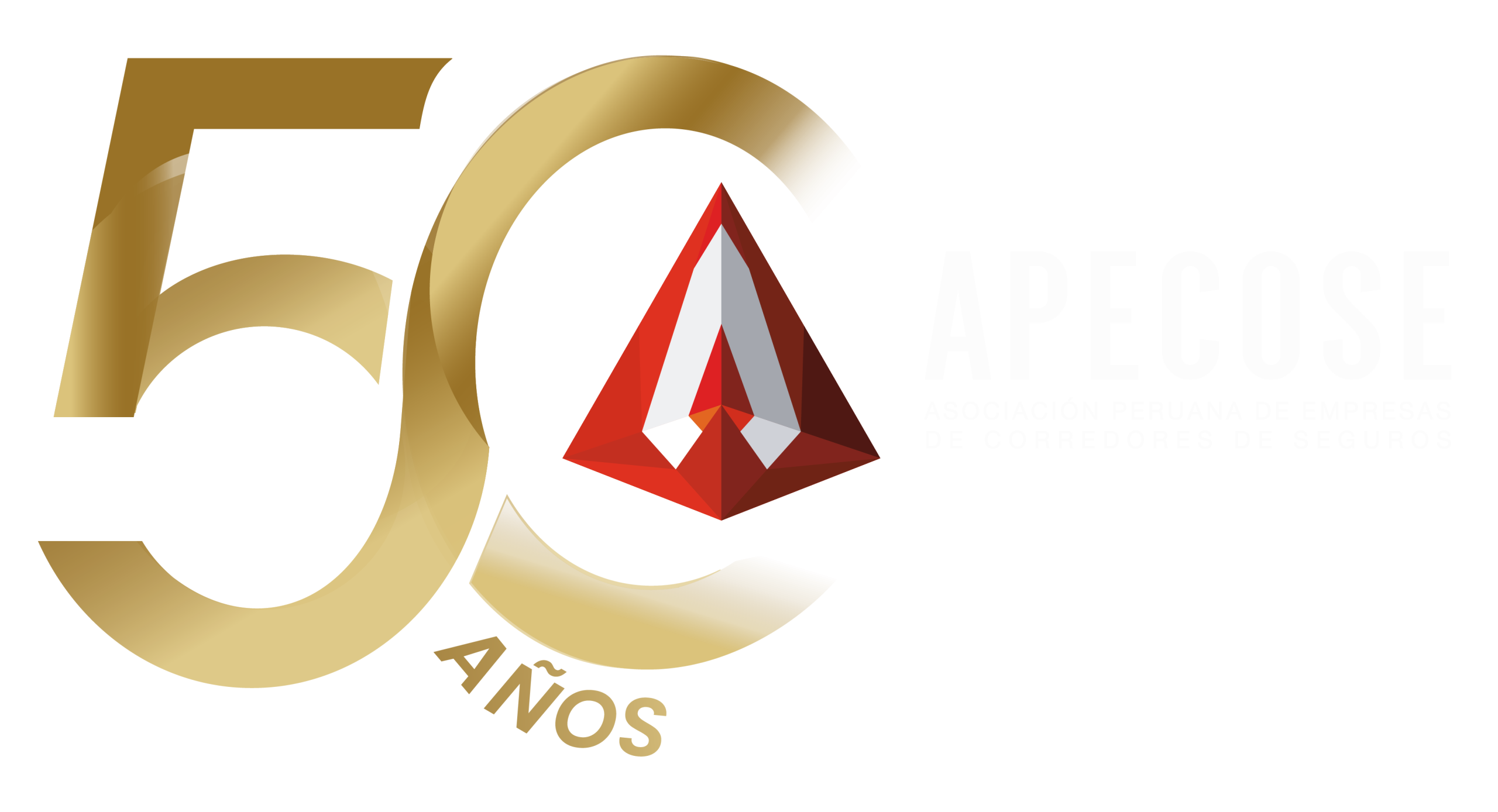 APECOSE 50 años