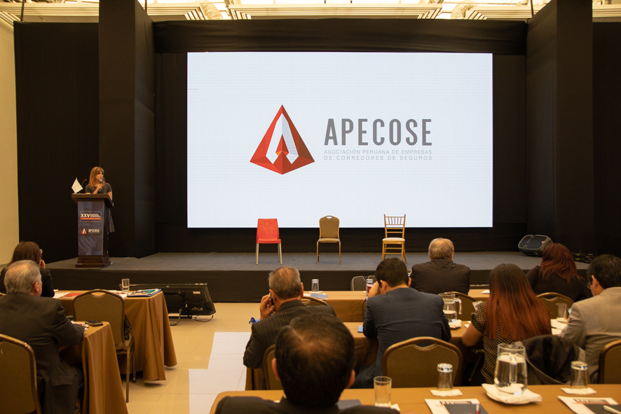 Actividad institucional de APECOSE con representantes del mercado asegurador
